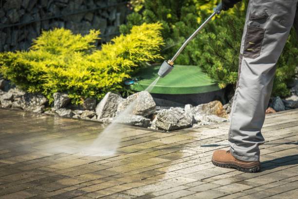 Best Roof Washing  in Newton, NJ