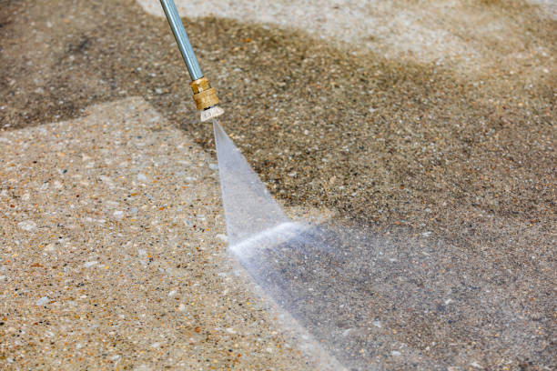 Best Animal Enclosure Cleaning  in Newton, NJ