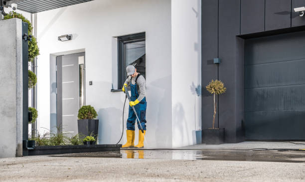Best Solar Panel Cleaning  in Newton, NJ